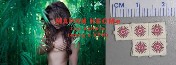прущая мука Няндома