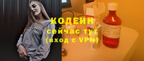 прущая мука Галич