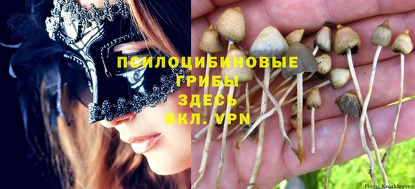 mdpv Осинники