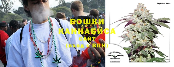 бошки Осташков