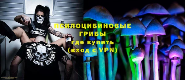 mdpv Осинники